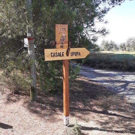 Willa Casale L'Upupa Orvieto Zewnętrze zdjęcie