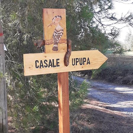 Willa Casale L'Upupa Orvieto Zewnętrze zdjęcie