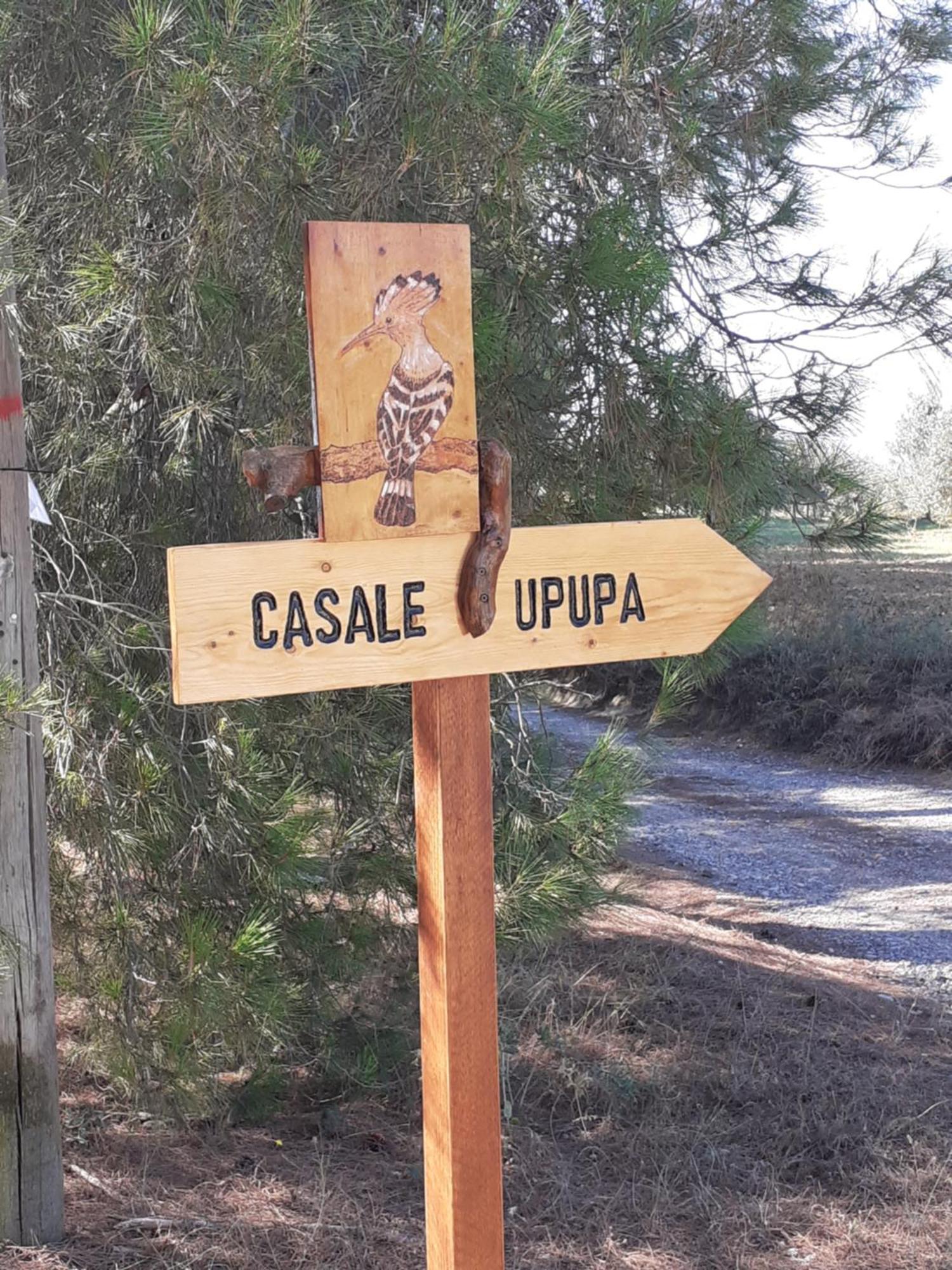 Willa Casale L'Upupa Orvieto Zewnętrze zdjęcie